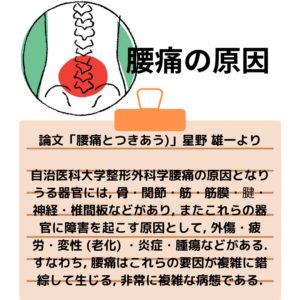 腰痛の原因の説明図